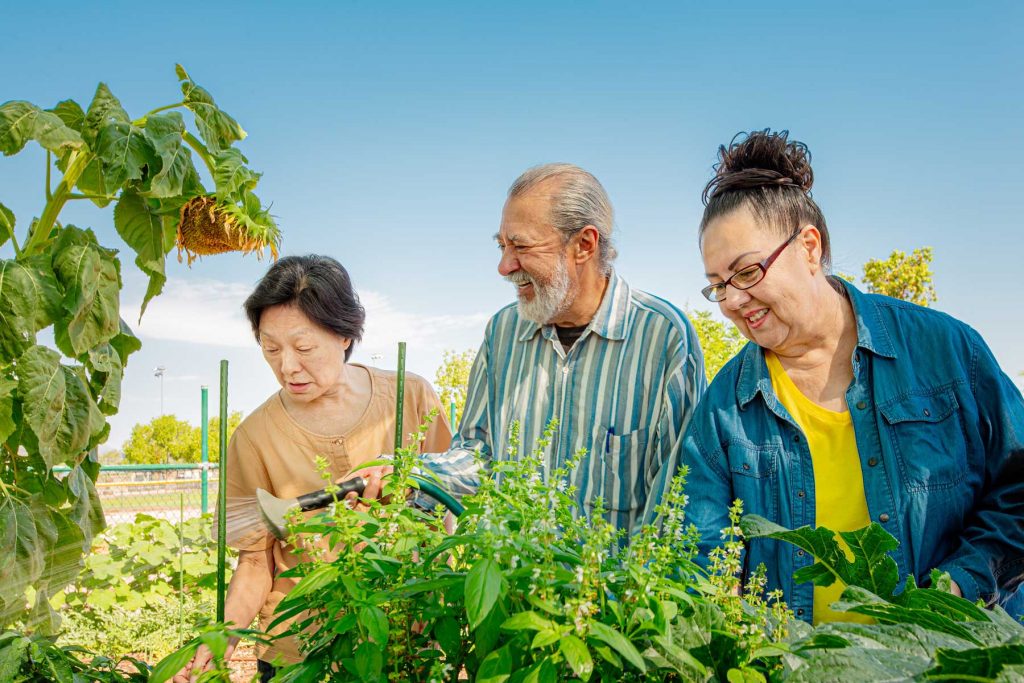 community garden